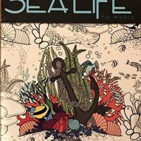 Kick Back and Color Sea Life Adult Coloring Book